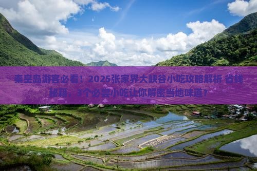 秦皇岛去张家界大峡谷旅游小吃