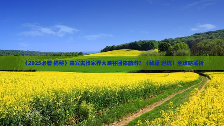 来宾去张家界大峡谷团体旅游