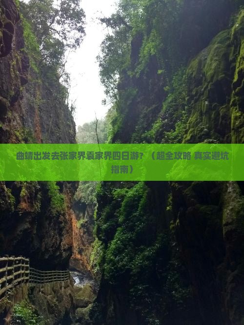 曲靖到张家界袁家界四日游