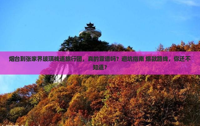 烟台到张家界玻璃栈道旅行社