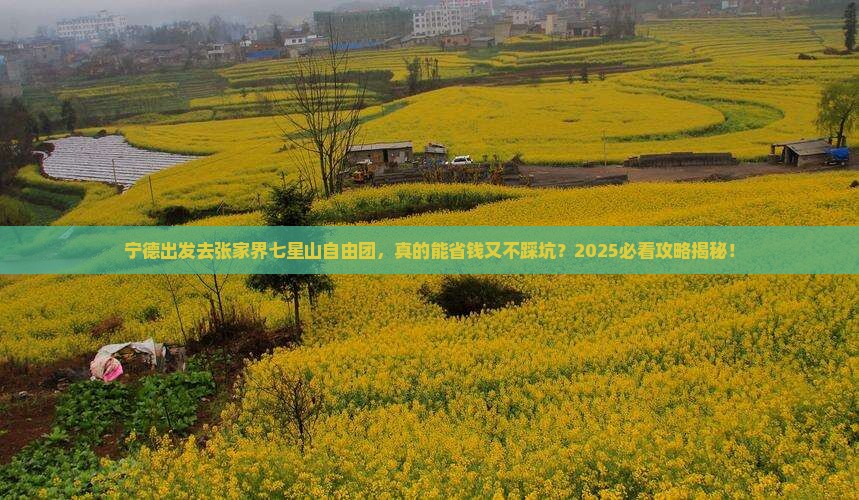 宁德去张家界七星山自由团