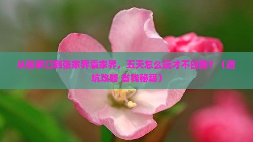 张家口去张家界袁家界五日游
