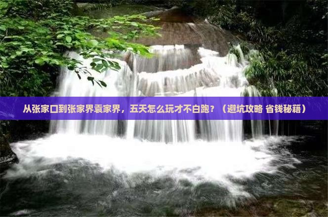 张家口去张家界袁家界五日游