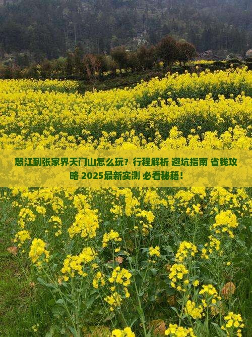 怒江到张家界天门山旅行社