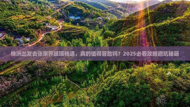 株洲去张家界玻璃栈道个人游