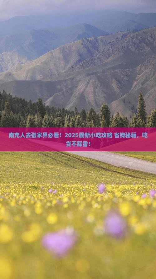 南充去张家界森林公园旅游小吃