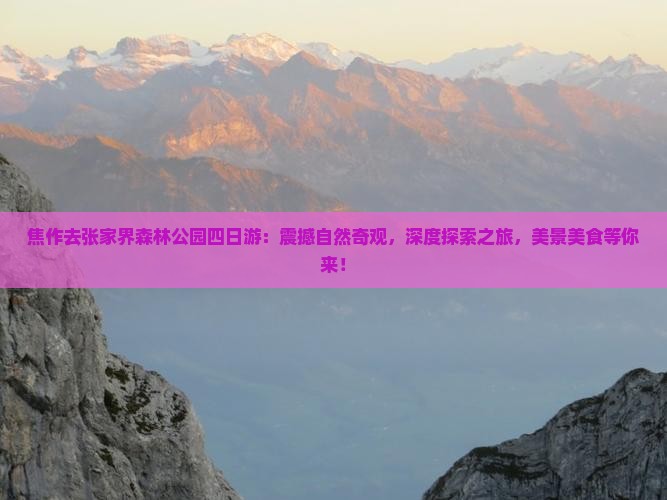 焦作去张家界森林公园四日游