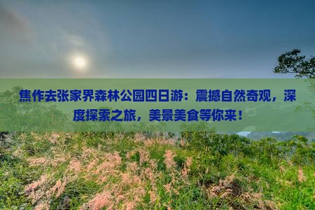 焦作去张家界森林公园四日游