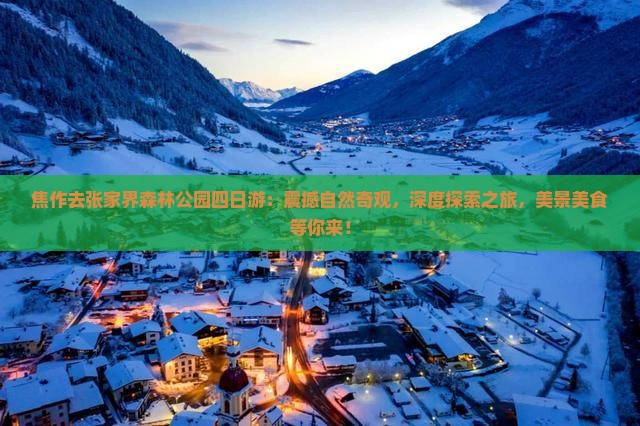 焦作去张家界森林公园四日游