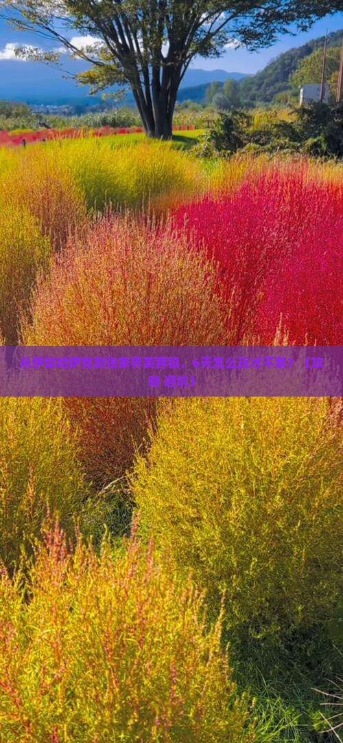 伊犁哈萨克到张家界芙蓉镇六日游
