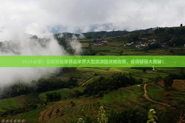 昆明到张家界袁家界大型旅游团