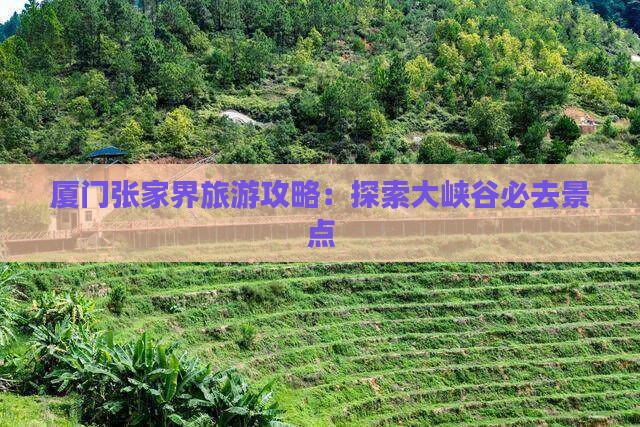 厦门去张家界大峡谷景点