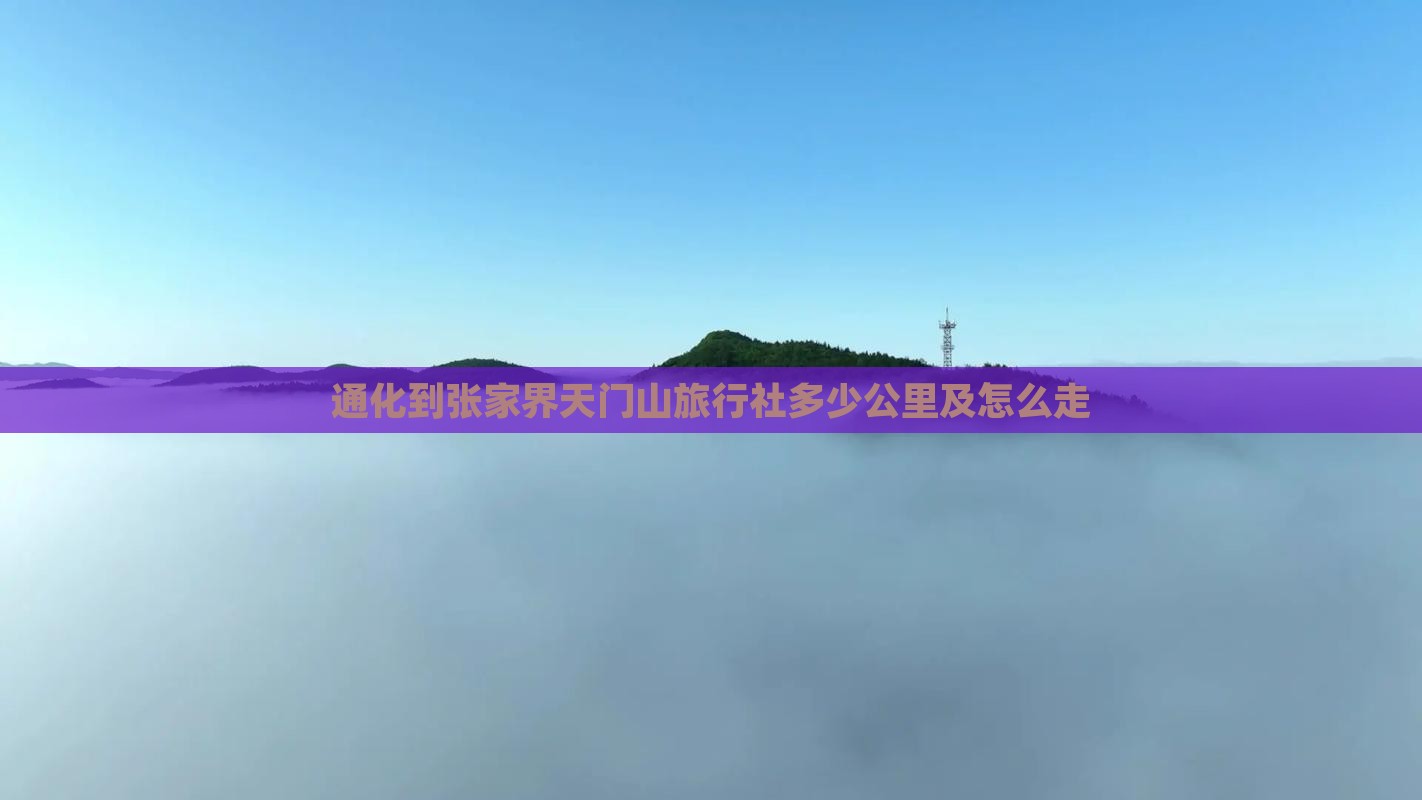 通化到张家界天门山旅行社