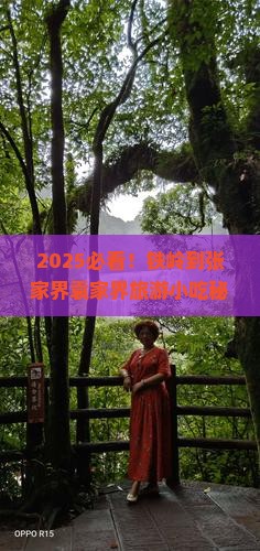 铁岭到张家界袁家界旅游小吃