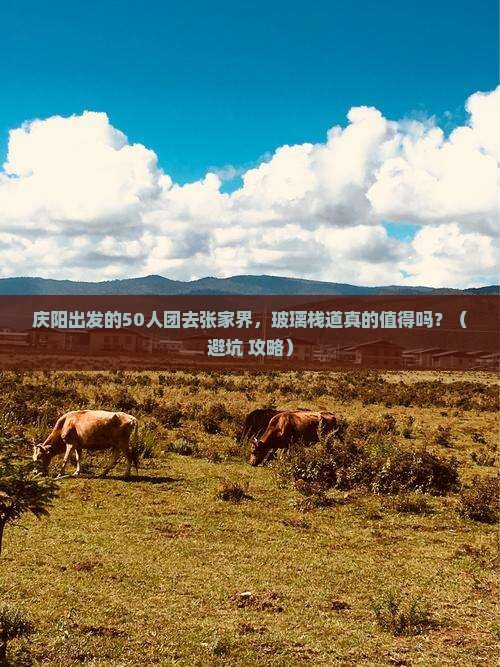 庆阳到张家界玻璃栈道大型旅游团