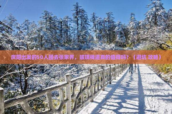 庆阳到张家界玻璃栈道大型旅游团