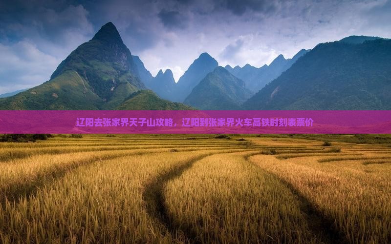 辽阳去张家界天子山攻略