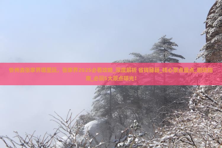 忻州去张家界哪里玩