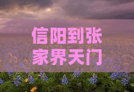 信阳到张家界天门山大型旅游团
