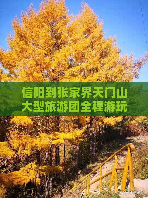 信阳到张家界天门山大型旅游团