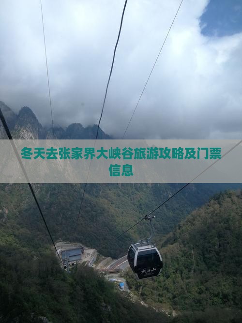 冬天去张家界大峡谷门票