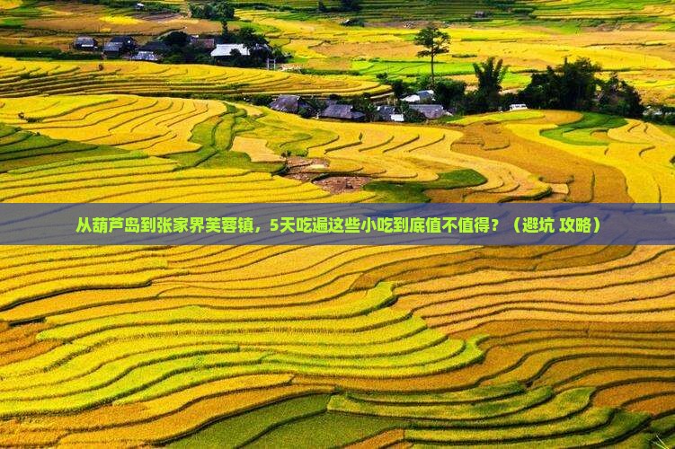 葫芦岛到张家界芙蓉镇旅游小吃