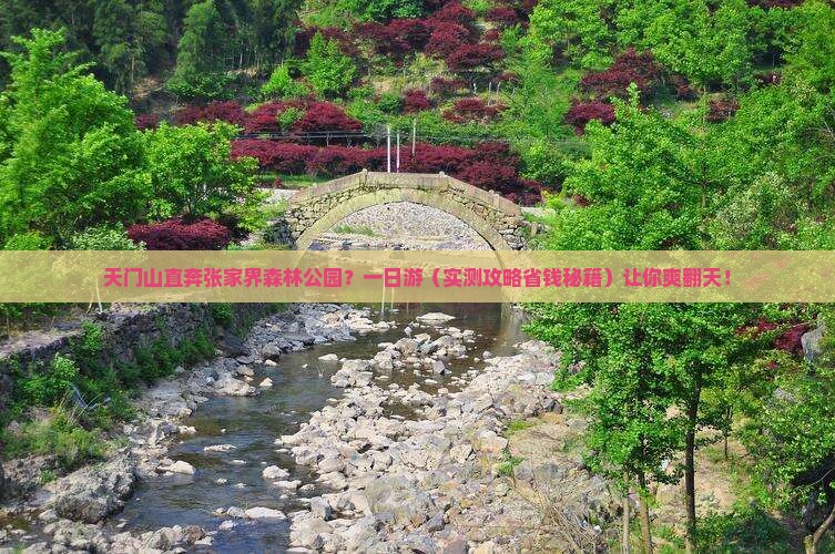 天门到张家界森林公园一日