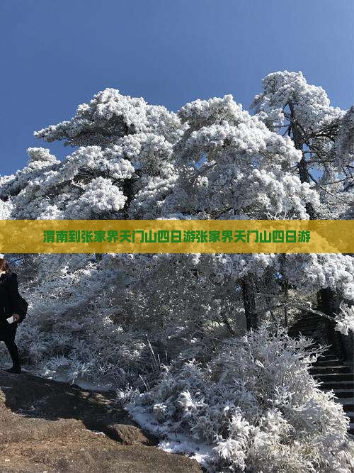 渭南到张家界天门山四日游