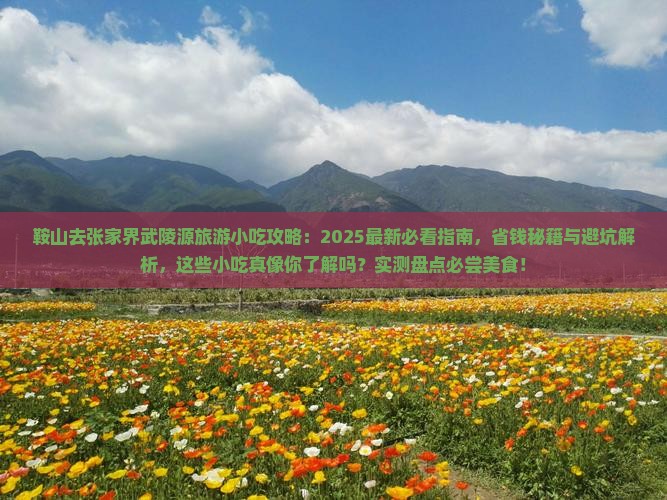鞍山去张家界武陵源旅游小吃