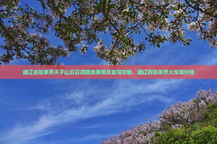 通辽去张家界天子山五日游