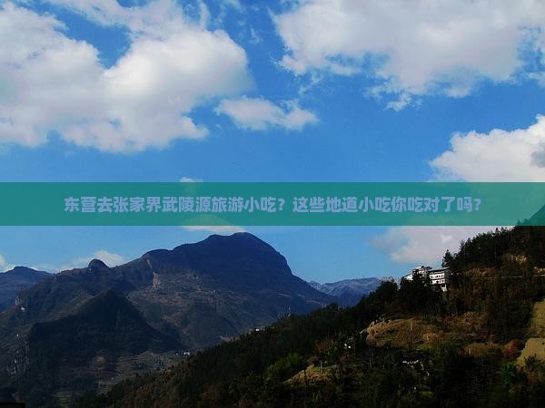 东营去张家界武陵源旅游小吃