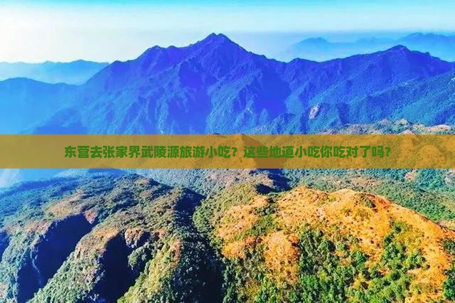 东营去张家界武陵源旅游小吃