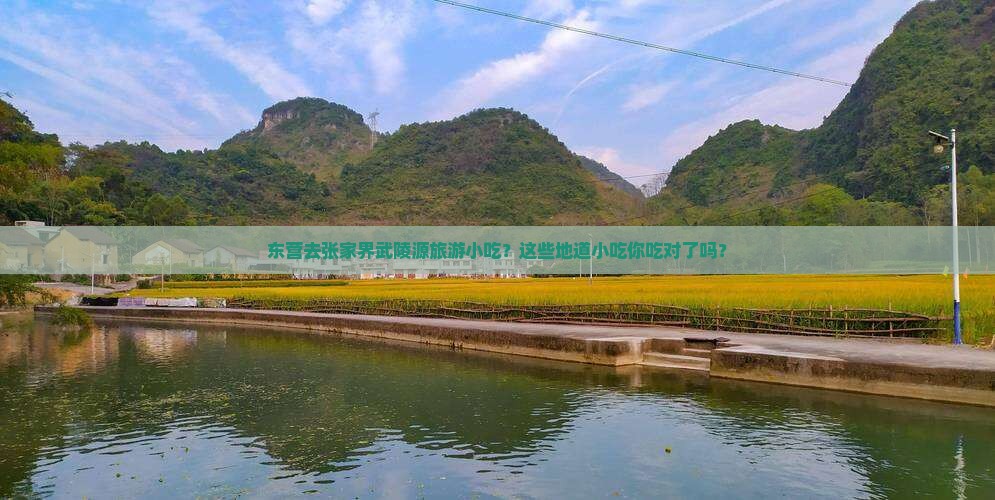 东营去张家界武陵源旅游小吃