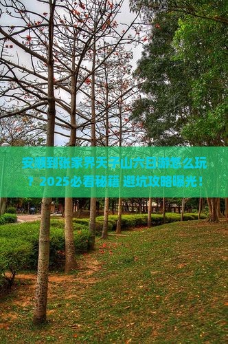 安顺到张家界天子山六日游