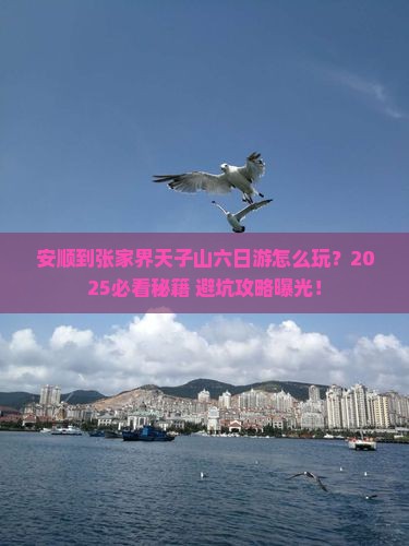 安顺到张家界天子山六日游