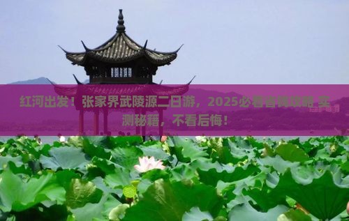 红河去张家界武陵源二日游