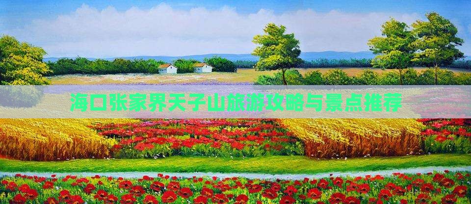 海口去张家界天子山个人游
