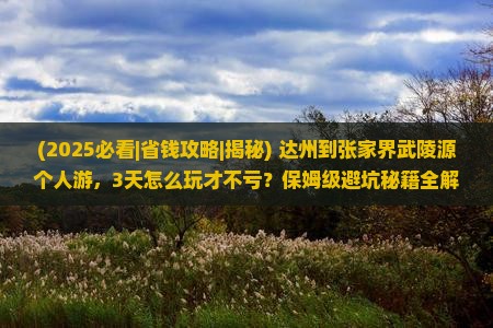 达州到张家界武陵源个人游