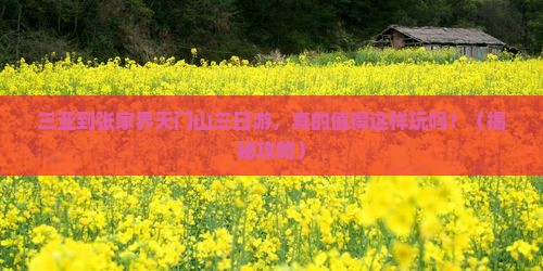 三亚到张家界天门山三日游