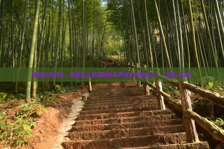 随州到张家界袁家界团体旅游