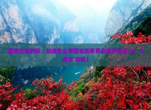 随州到张家界袁家界团体旅游