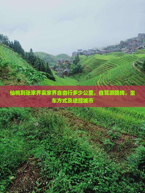 仙桃到张家界袁家界自由行
