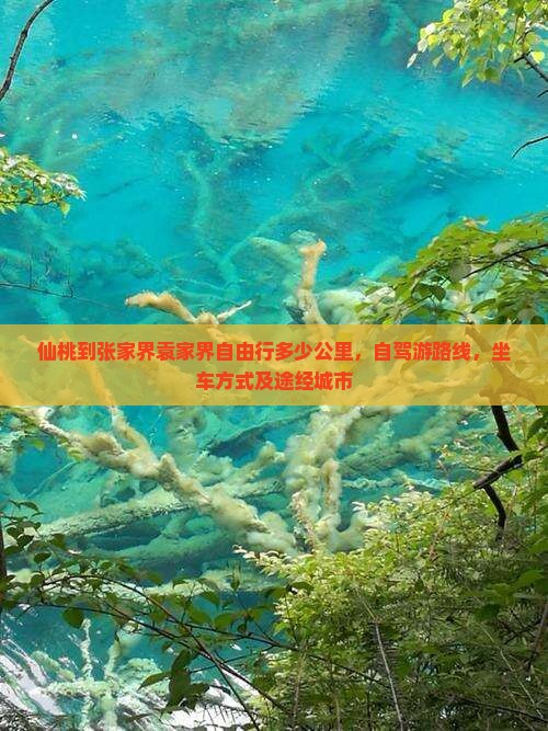 仙桃到张家界袁家界自由行