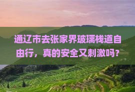 通辽市去张家界玻璃栈道自由行