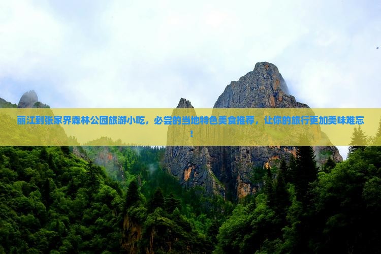 丽江到张家界森林公园旅游小吃