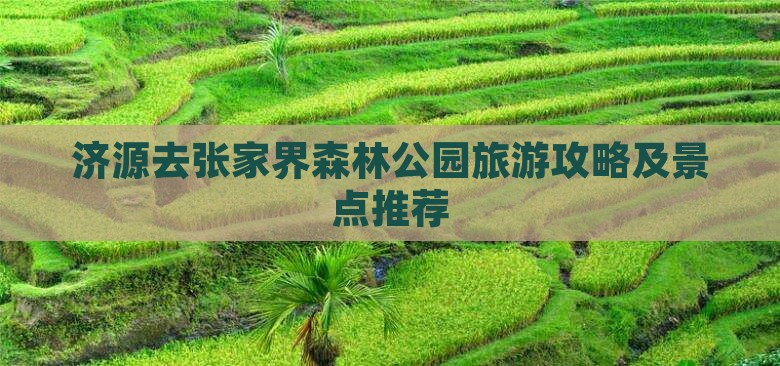 济源去张家界森林公园个人游