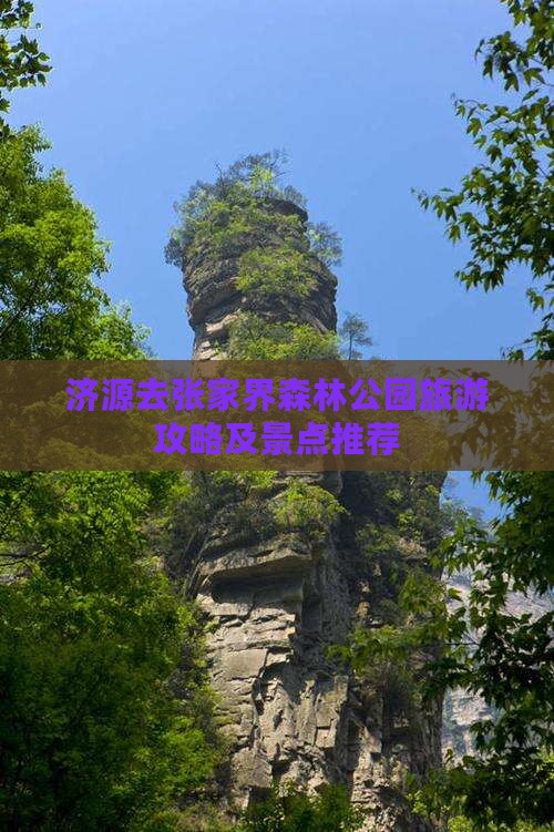 济源去张家界森林公园个人游
