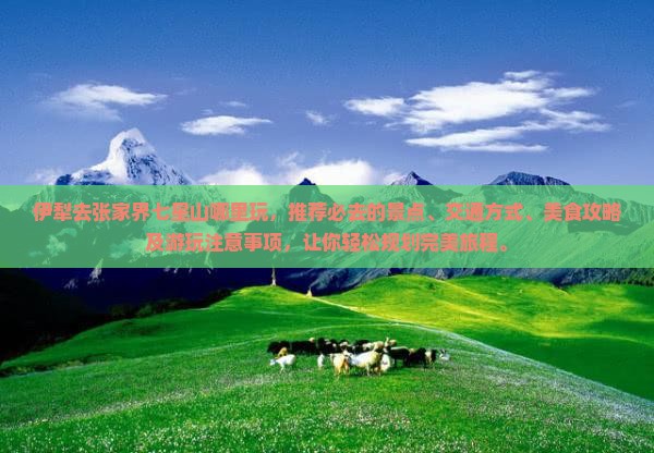 伊犁去张家界七星山哪里玩