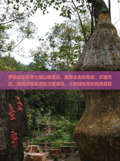 伊犁去张家界七星山哪里玩
