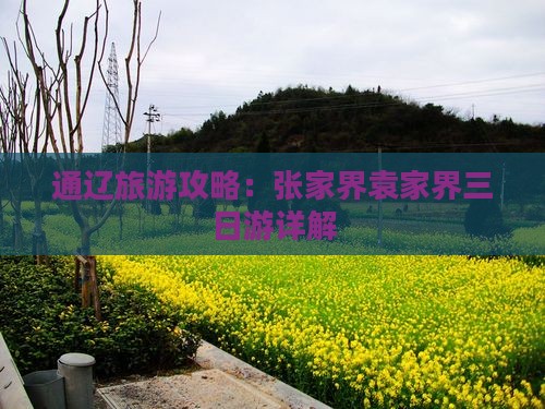 通辽市到张家界袁家界三日游